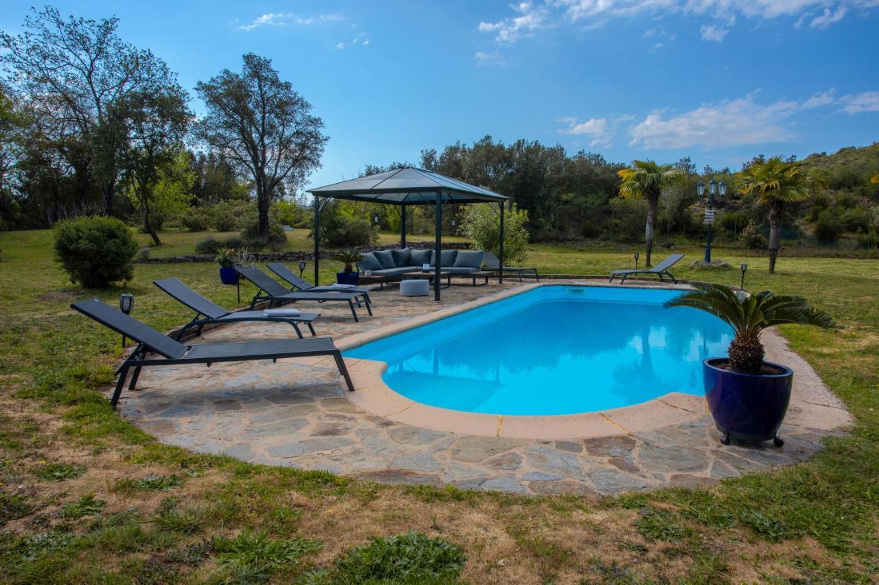Villa Catalpa Avec Piscine Le Muy Esterno foto